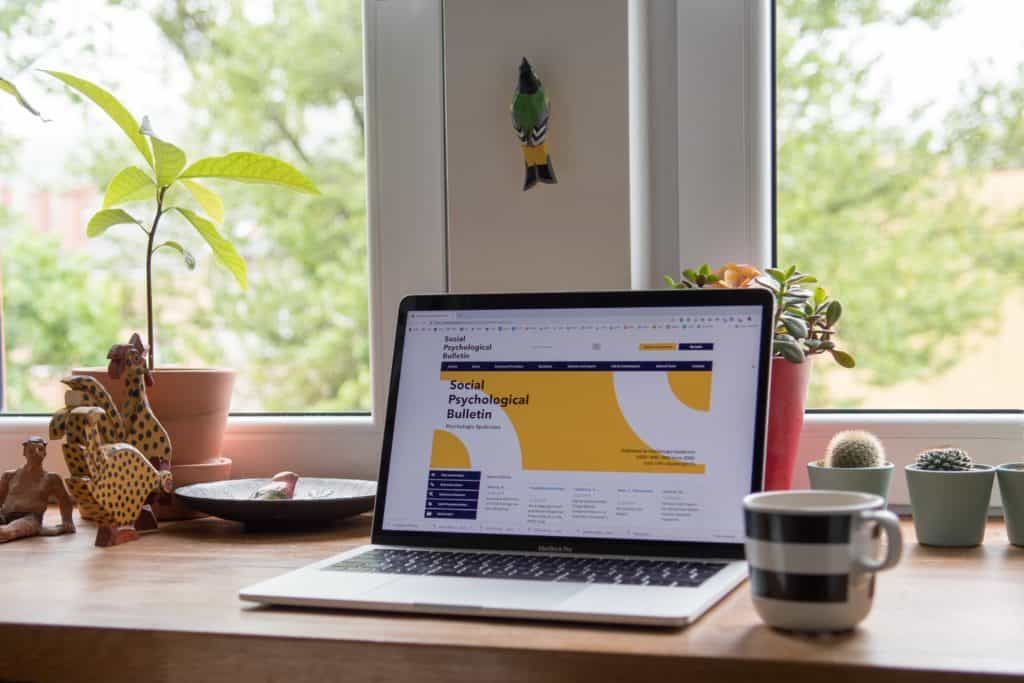 Website feature